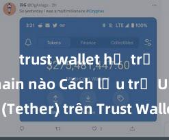 trust wallet hỗ trợ blockchain nào Cách lưu trữ USDT (Tether) trên Trust Wallet tại Việt Nam